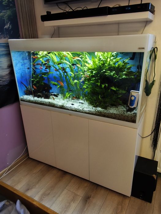 Akwarium AQUEL z szafką i życiem