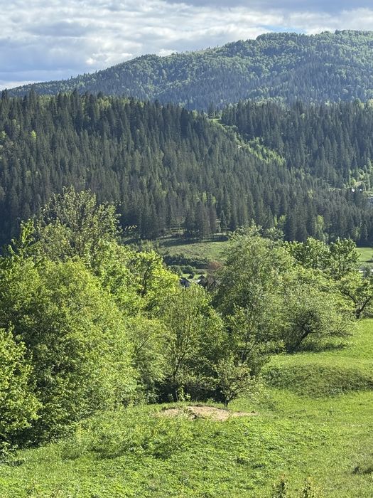 Земля в Карпатах, ділянка Микуличи, Яремче , Буковель,Власник, топова