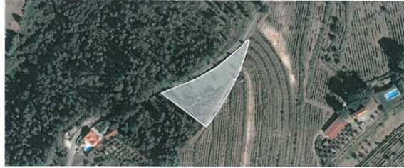 Quinta com Elevado Potencial Agrícola e Turístico