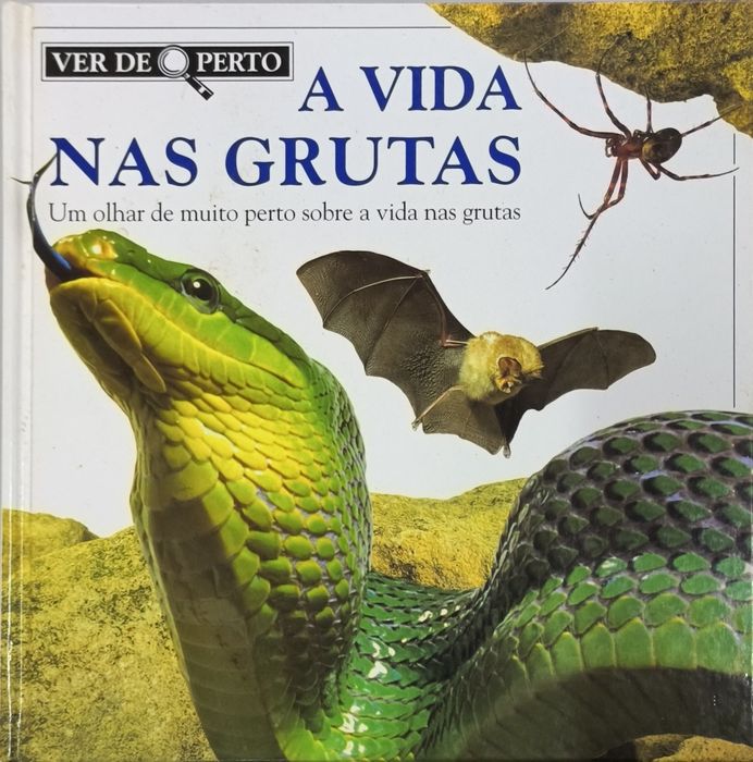 Livros da coleção 'Ver de Perto'
