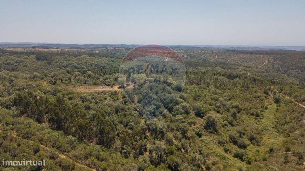 Terreno  para venda — São Teotónio, Beja