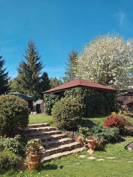 Noclegi Bieszczady Apartament U Andrzeja Solina Polańczyk