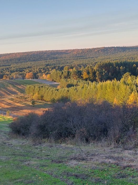 Domek przystań kajakowa na Roztoczu