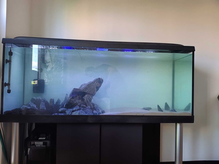Akwarium 450 L + Szafka