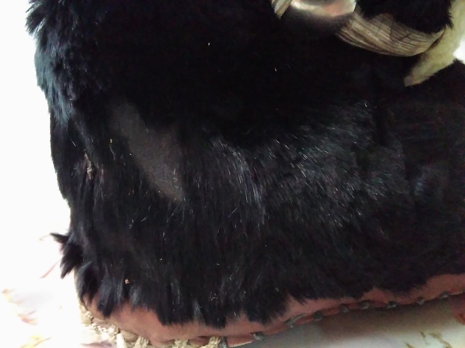 Унтики детские уги