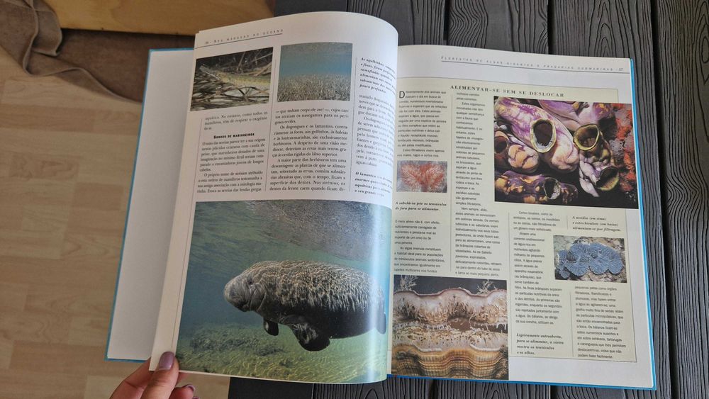 Livro A Vida dos Mares e Oceanos