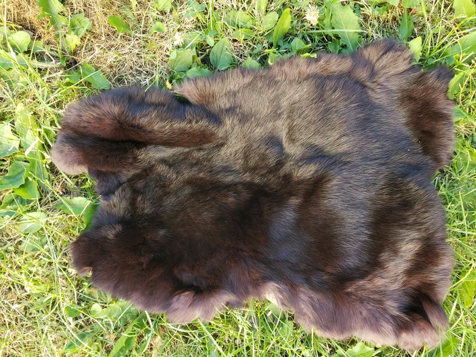 Кролячі шкурки 3шт