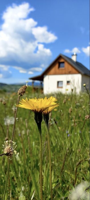 Komfortowy domek w górach, kominek, balia