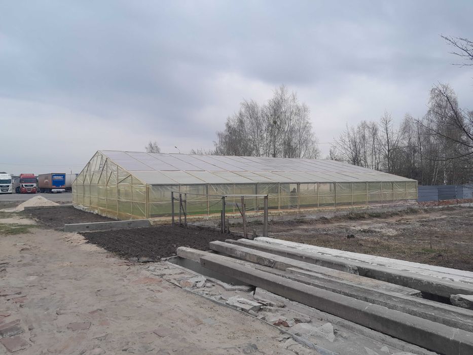 Оренда або продаж теплиці 300кв.м