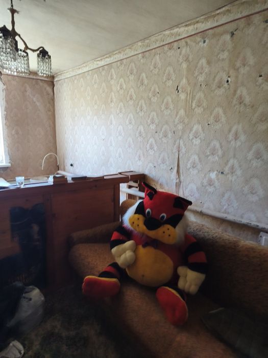 Продам будинок в центрі міста.
