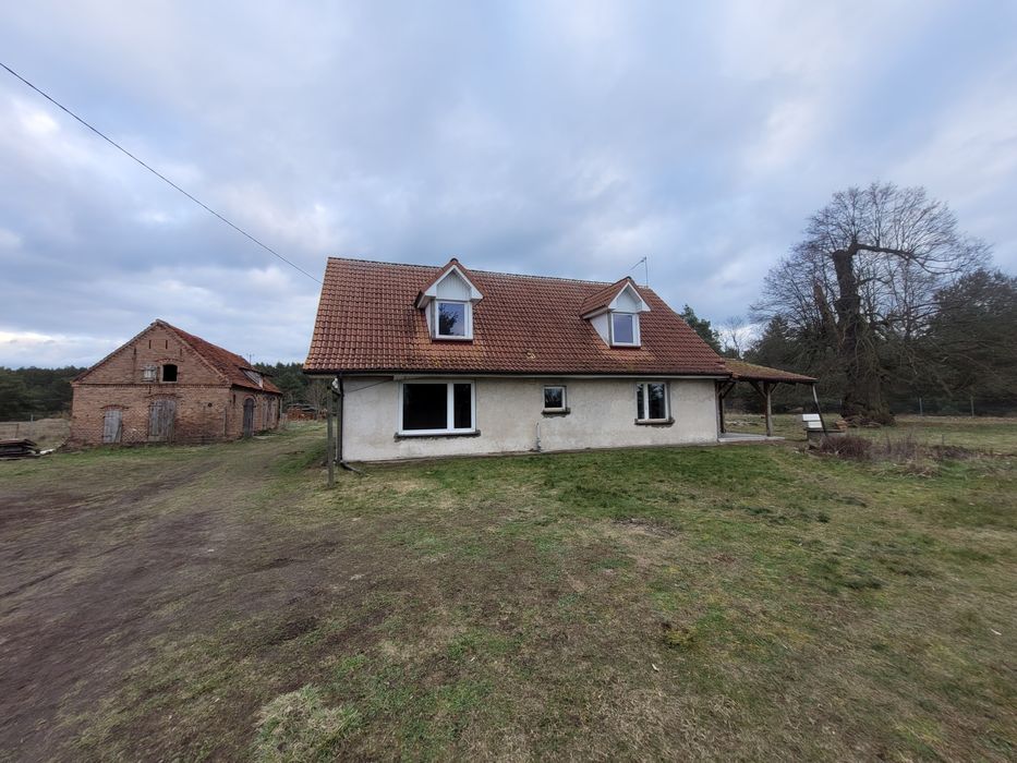 Dom Krzeszyce Piskorzno do wynajecia