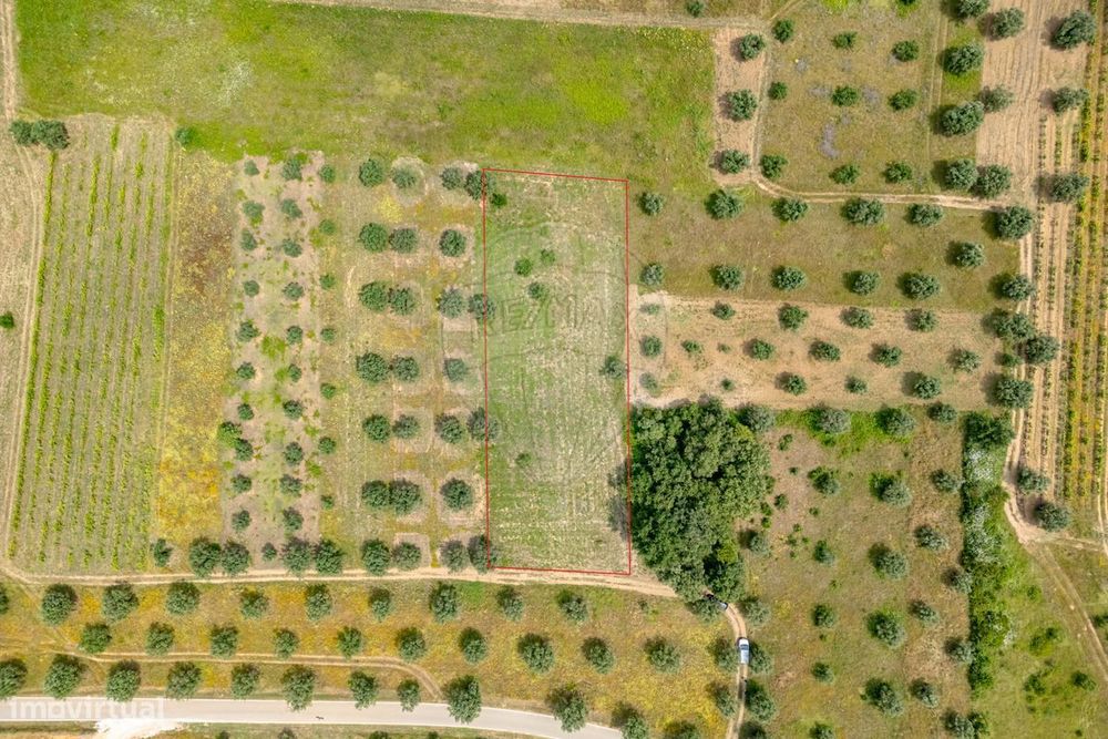 Terreno  para venda — Souselas E Botão, Coimbra