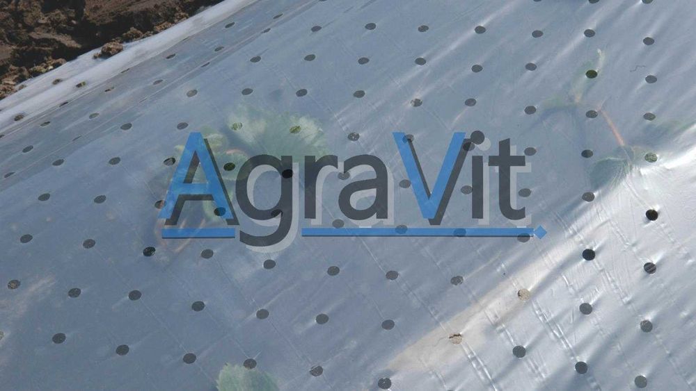 Folia ogrodnicza perforowana UV Agravit