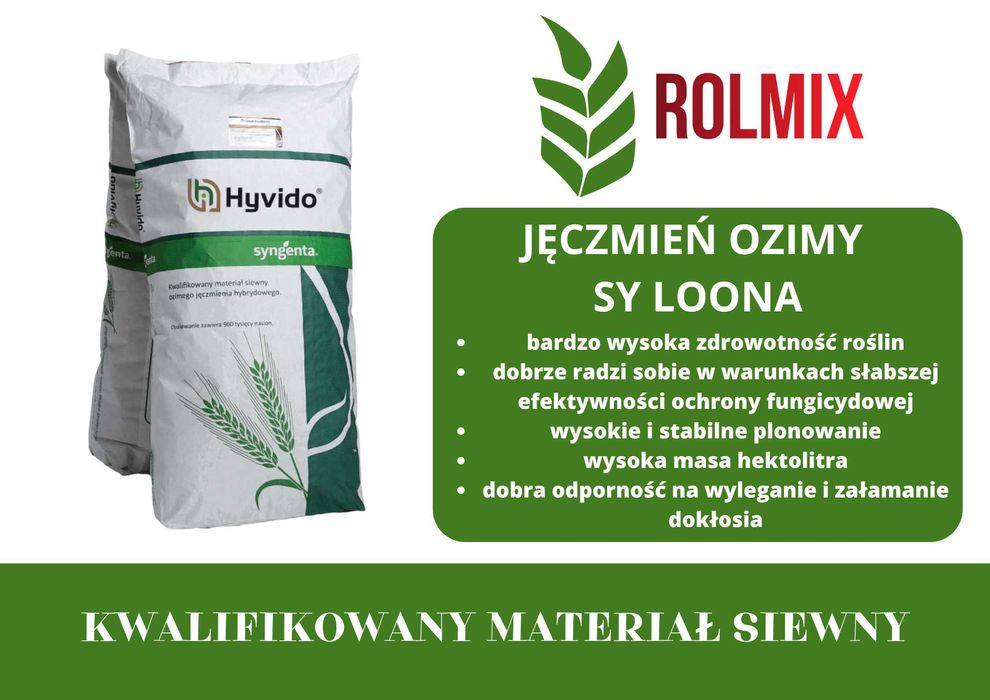 Jęczmień ozimy HYVIDO® SY Loona – kwalifikowany materiał siewny Syngenta