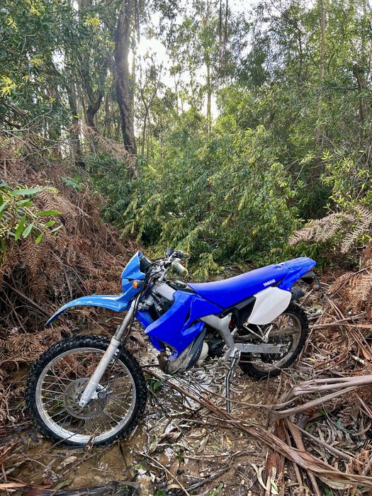 Yamaha DTR 50 2007
