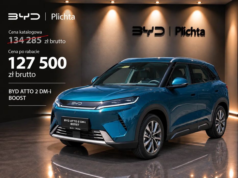 BYD Pozostałe BYD