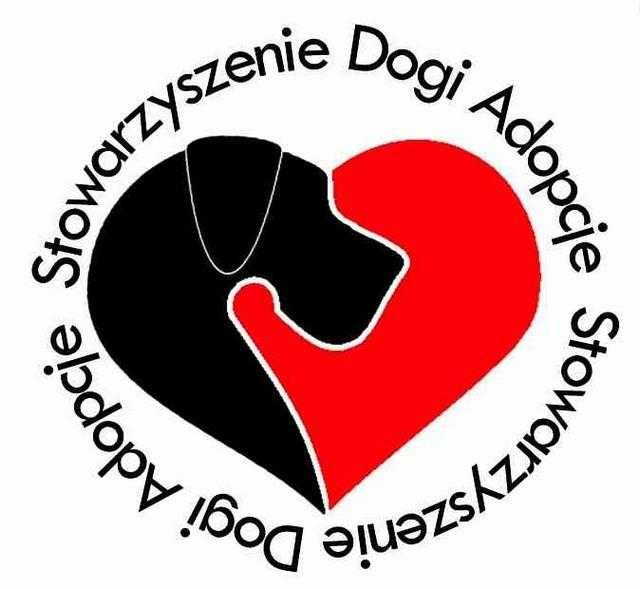 Dog niemiecki merle DO ADOPCJI !