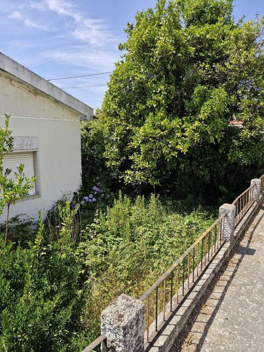 Manutenção dos terrenos