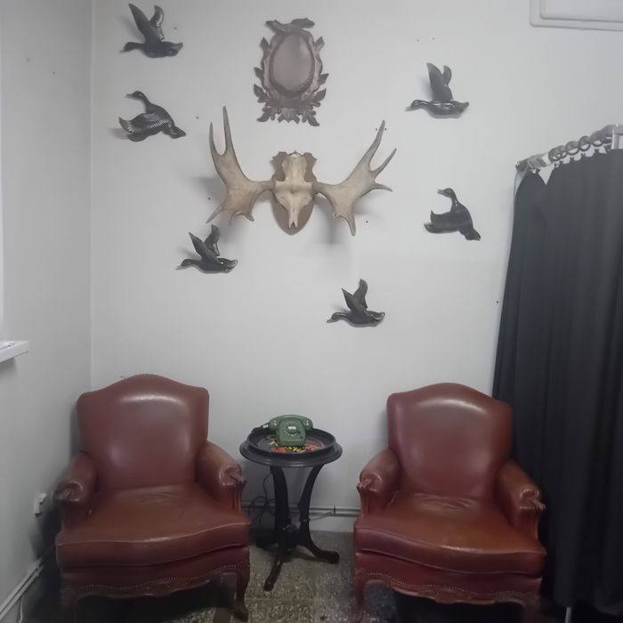 XX w Kaczki z Porcelany do Powieszenia na Ścianę Cudo !!!