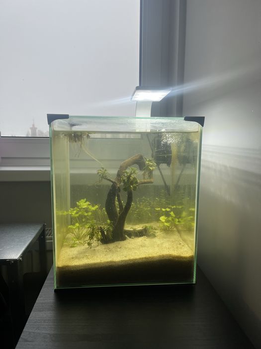 Sprzedam całe akwarium