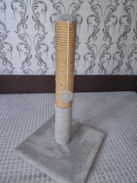 Когтеточка для котят
