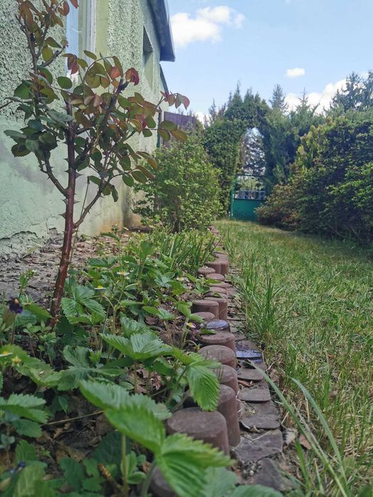 ROD Relax / Relaks Nowosolna Łódź – 425 m² – murowany domek – 68 000 zł