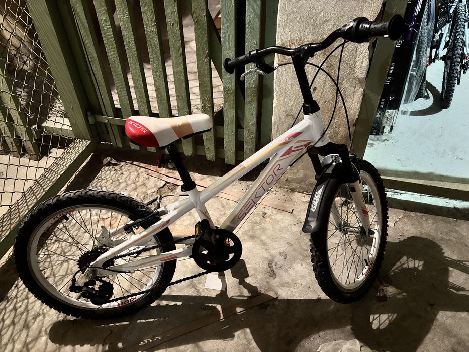 Rower Sektor 20 cali