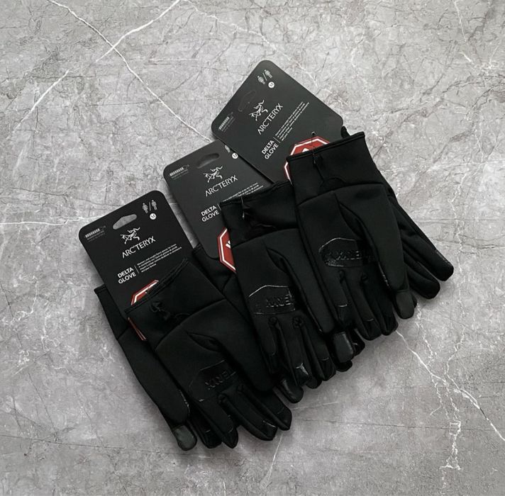 Флисовые перчатки arcteryx x the north face