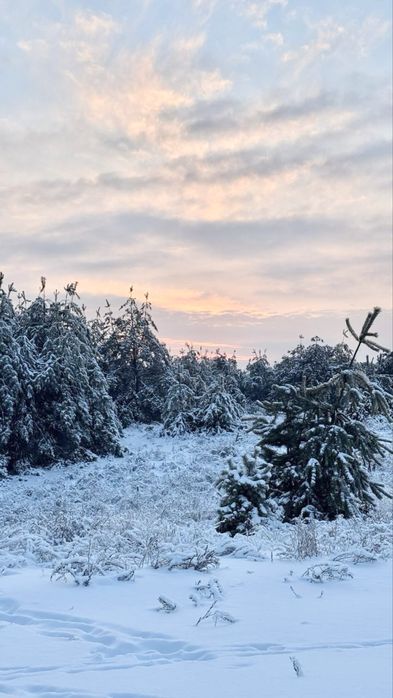 Земельна ділянка 23 га! Лишня !