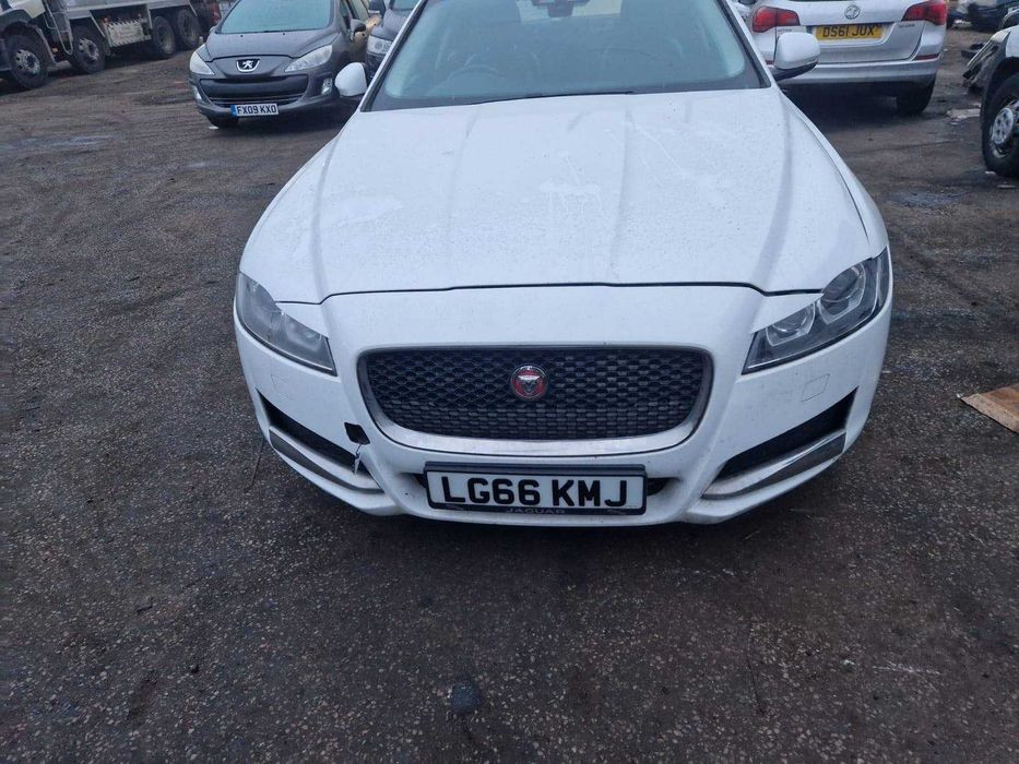 Разборка Jaguar XF x260 Ягуар бампер, крыло, фара, капот
