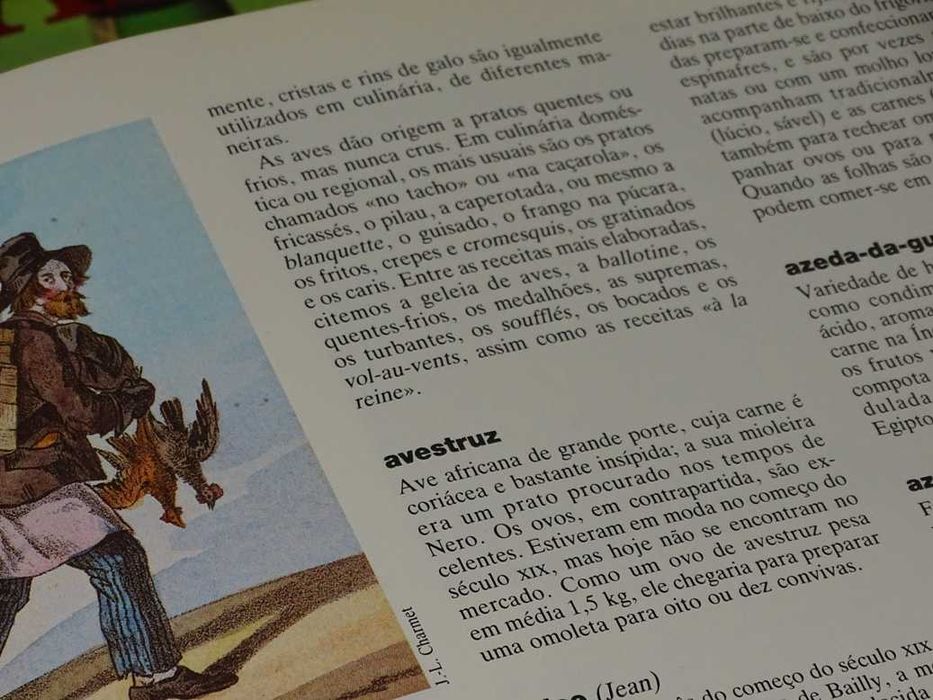 Larousse Gastronómico (3 volumes)