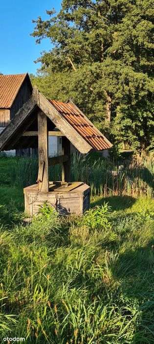 Siedlisko 2,38 ha z zabudowaniami i stawem – 14 km od Olsztyna