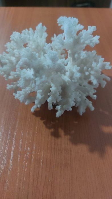 Продаются домовички морские сувениры