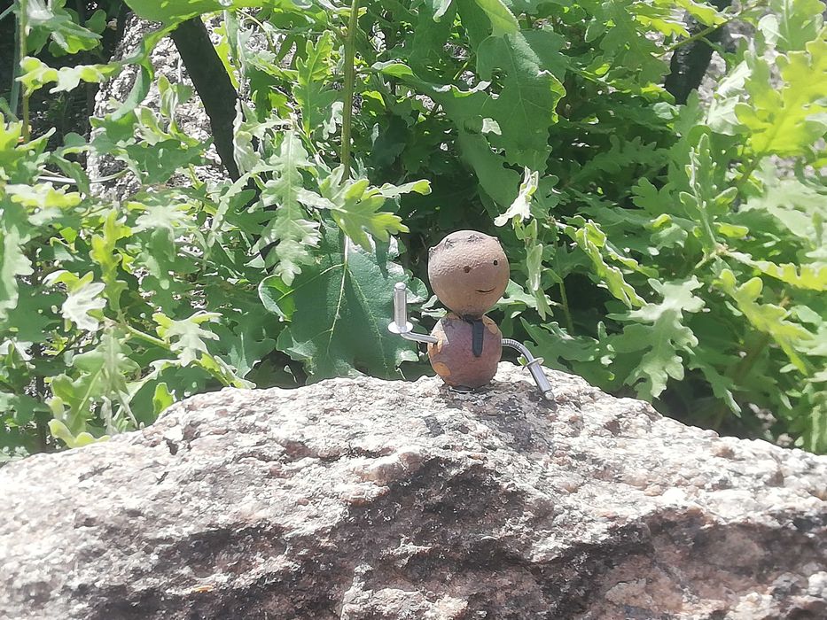 Mascote "bogalhinho"