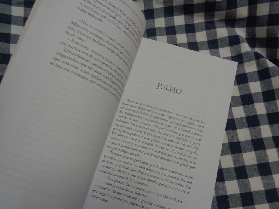 Livro A Casa Quieta – Rodrigo Guedes de Carvalho