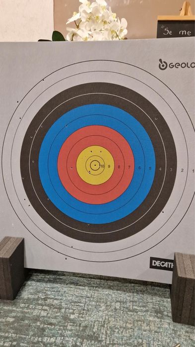 Kit de Tiro com Arco Decathlon/Geologic – Arco Initech 2 + Alvo + 6 Flechas