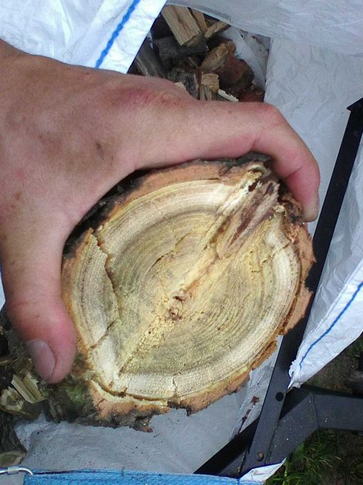 Rozdrabniacz do 11cm średnicy R2-200- W102 walcowy rembak rebak rębak