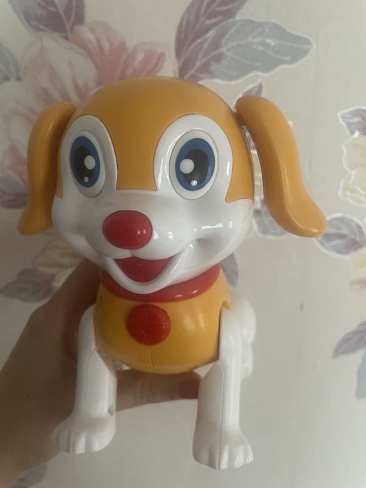 Продам веселе щенятко