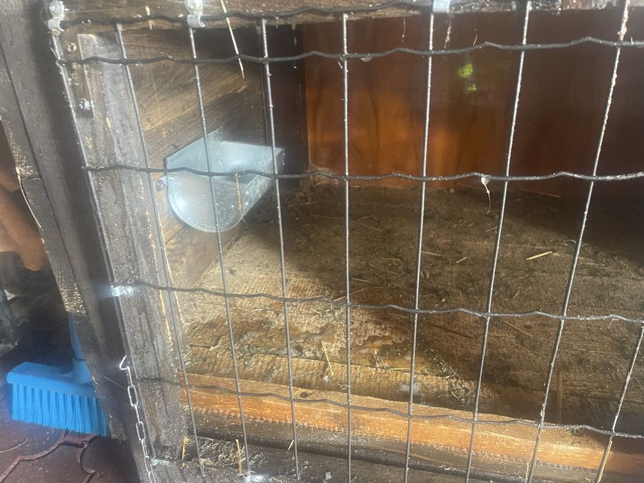 Klatki dla krolikow mocne solidne