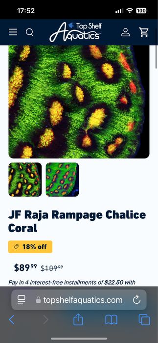 Frag de chalice raja rampage aquario agua salgada