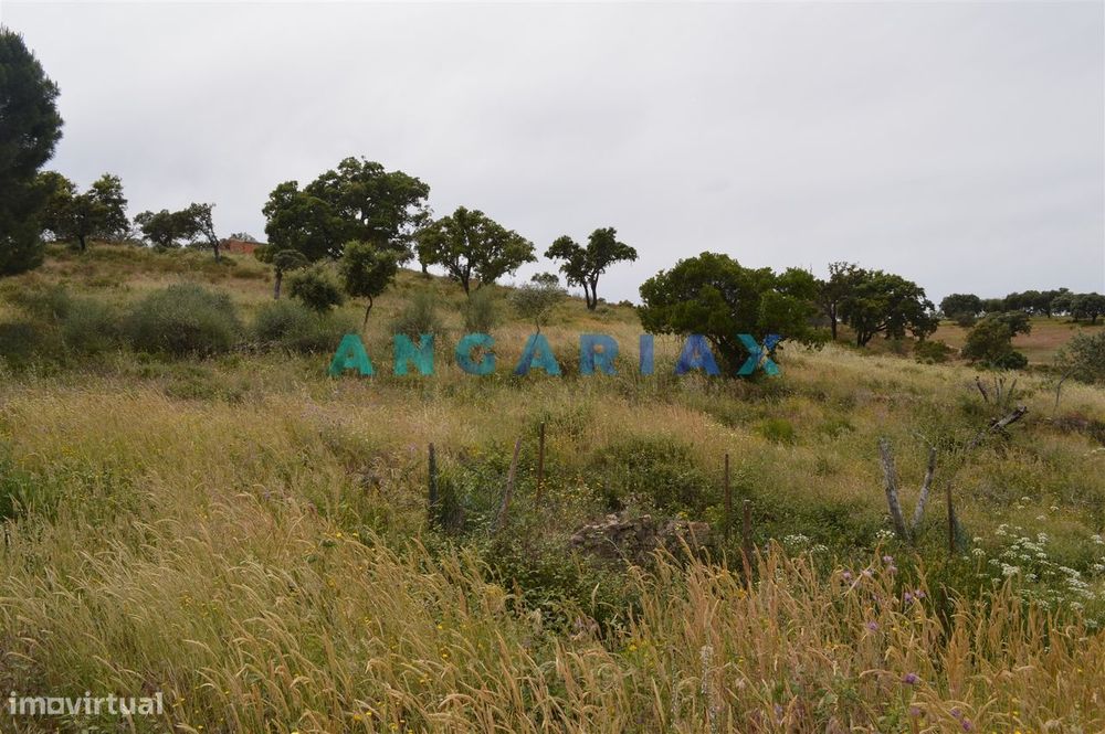 ANG256 - Terreno Rústico para Venda em Rosmaninhal