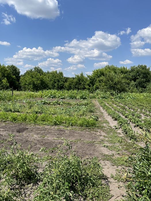 Продам житловий будинок в с. Малинівки