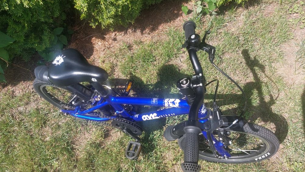 Rower frog 44 16 cali