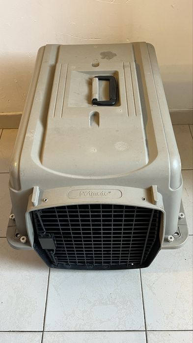Caixa grande para transporte de animais Petmate, em bom estado