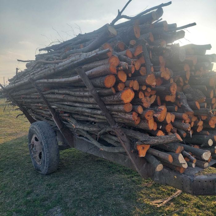 Дрова мʼякої  породи  вільха