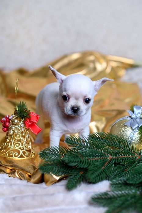 Некоторые встречи меняют жизнь навсегда.