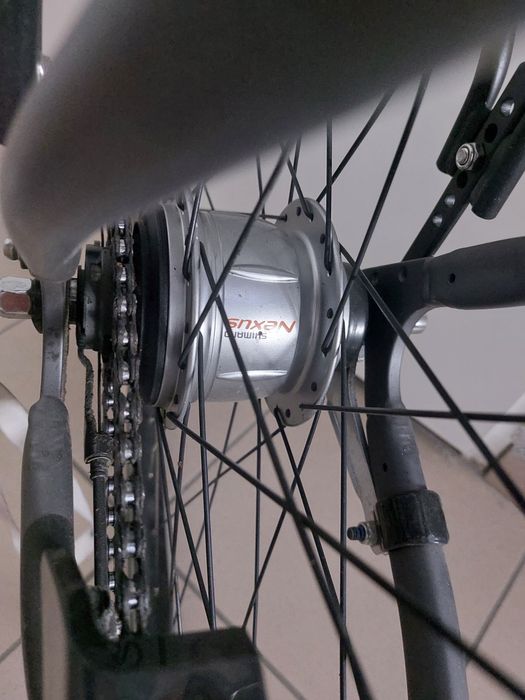Rower Pegasus Solero
