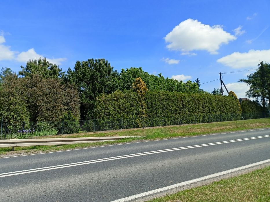 Wynajem powierzchni reklamowej – DW308 Gostyń–Kościan / Bielewo
