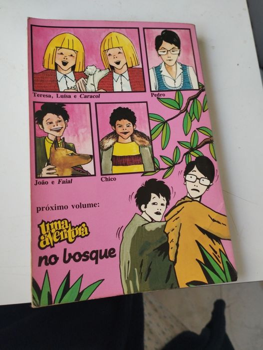 Livro "Uma Aventura em Viagem"