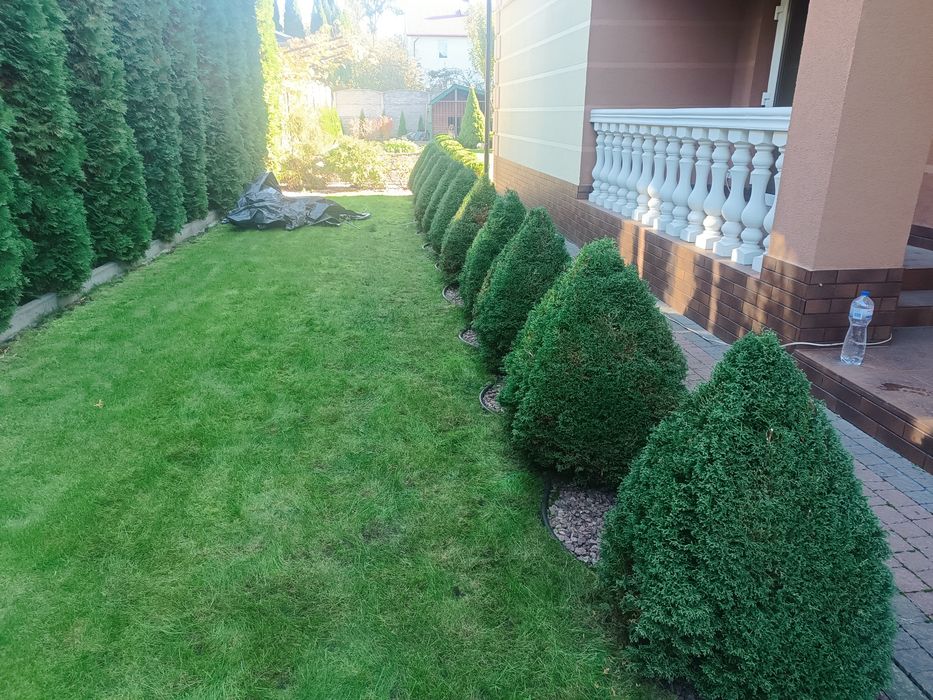 Газон, трава, штучна трава, стрижка, ландшафт, топіар, бонсай, нівакі,